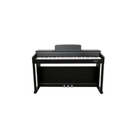 ECHORD DPX-100 BK POLISH