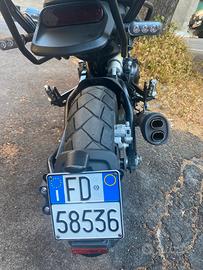 Benelli Leoncino 500 - 2023