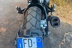 Benelli Leoncino 500 - 2023