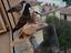 Immagine 6