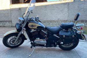 Vn 800