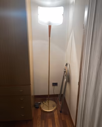 Lampada a Stelo