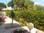 Immagine 19