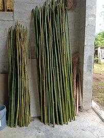 canne di bambu'