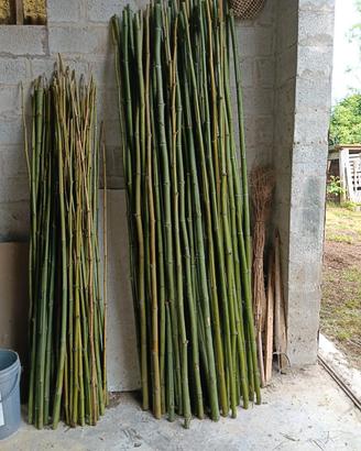 canne di bambu'