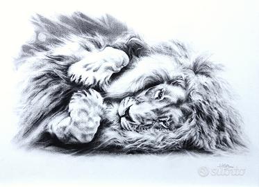 Disegno a carboncino originale -  Leone