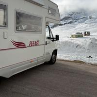 Camper Pegaso granduca 622