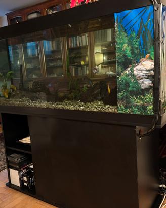 Acquario Juwel