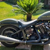 Scarico 2 in 1 Harley Davidson 