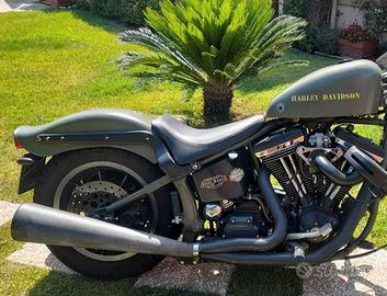 Scarico 2 in 1 Harley Davidson 