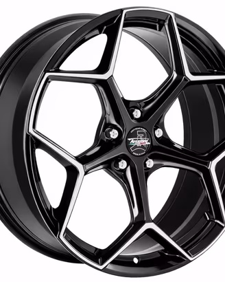 Cerchi Audi A6 A4 A5 A3 A7 A8 Q3 Q4 Q5 Q7 R19-21