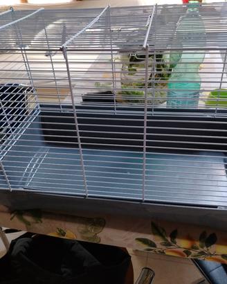 gabbia criceto 60x40