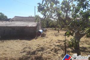 Terreno agricolo - Fondi