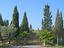 Immagine 12