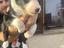 Immagine 4