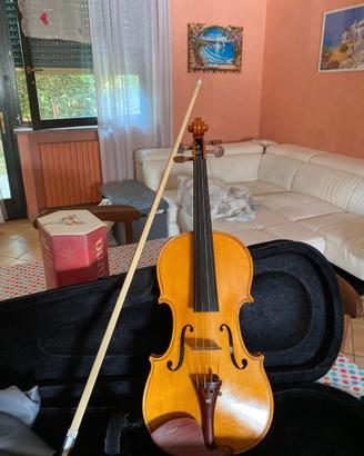 violino