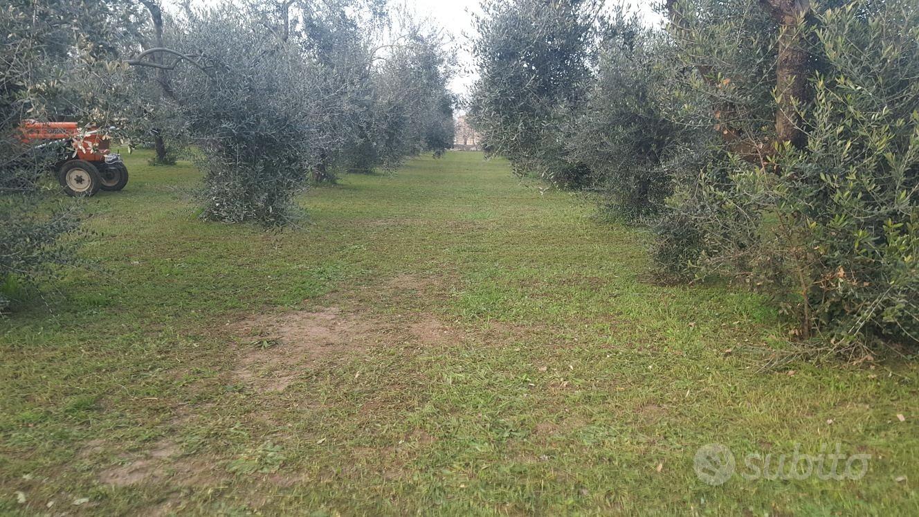 Terreno Il Contadino - Vista 3
