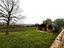 Immagine 11