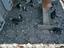 Immagine 2