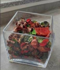 Vasi di vetro per piante/fiori