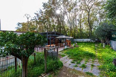 Appartamento - Catania