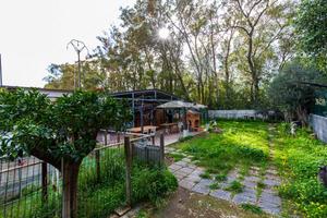 Appartamento - Catania