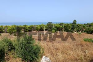 Terreno - San Vito Lo Capo