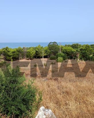 Terreno - San Vito Lo Capo