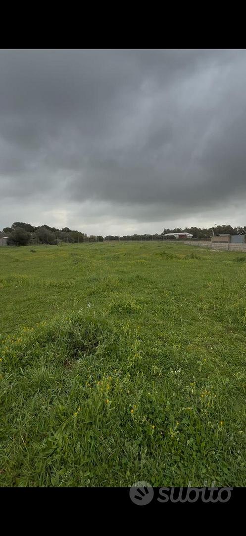 Terreno agricolo - Vista 5