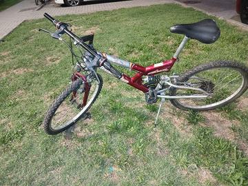 MOUNTAIN BIKE  