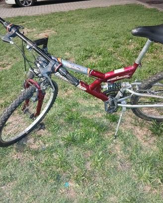 MOUNTAIN BIKE  