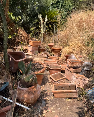 Vasi e fioriere in terracotta decorati