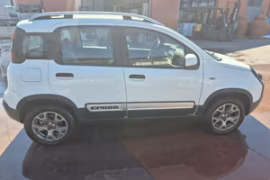 Panda 4 x 4 cross