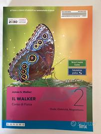IL WALKER  Corso di Fisica