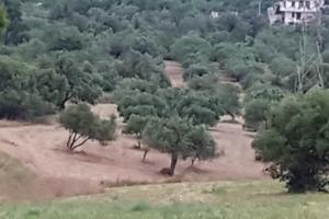 Terreno agricolo in zona panoramica