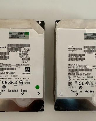 Coppia Hdd HP HGST  Ultrastar He8 6Tb