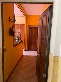 Appartemento ben tenuto