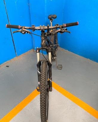 Specialized