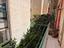 Immagine 18