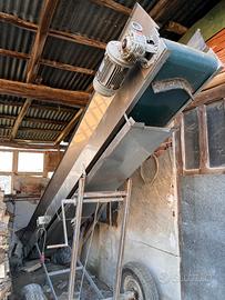 Nastro elevatore legna uva nocciole