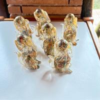 Bassotti vetro stile Murano