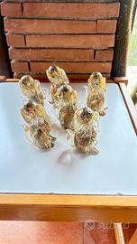 Bassotti vetro stile Murano