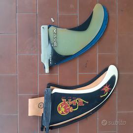 pinne windsurf wave
