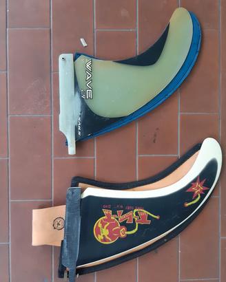 pinne windsurf wave