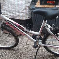 MTB BICI 26