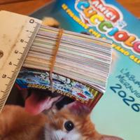 211 figurine Amici Cucciolotti 2026