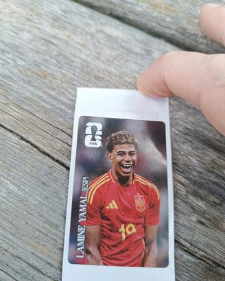 Calciatori Panini