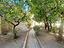 Immagine 20