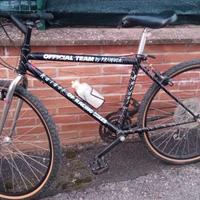 Mountain bike Primula