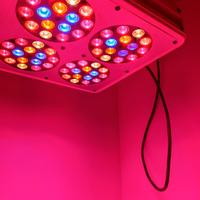 Armadio grow box in alluminio con lampada led